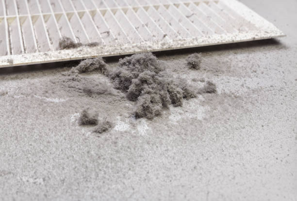 Best HVAC System Cleaning  in Ellenton, FL